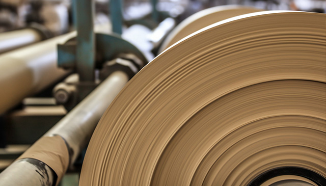 Pulp and Paper
